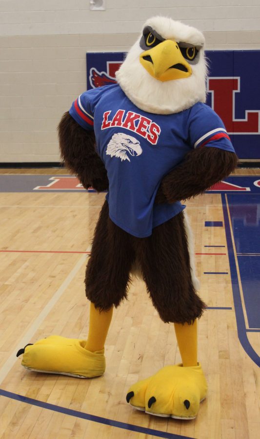 Ozzie the Eagle at the Eagle Pals Game 