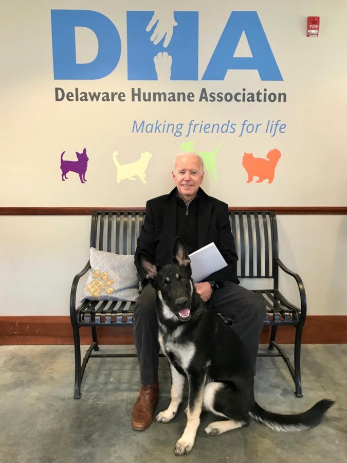 Stephanie Gomez/Delaware Humane Association, via Associated Press