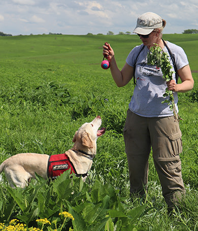 From Working Dogs for Conservation Website